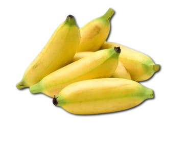 Baby Banano