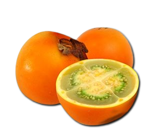 Naranjilla