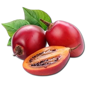 Tomate de Árbol
